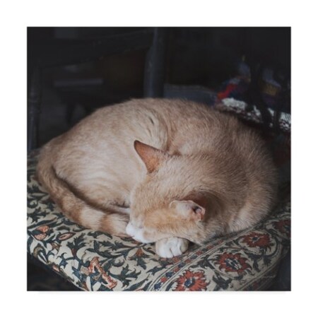 Trademark Fine Art Laura Marshall 'Sleepy Afternoon' Canvas Art, 14x14 WAP04596-C1414GG